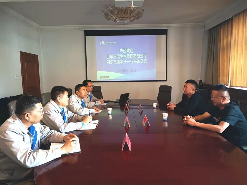 ɽ��������������